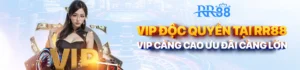 Vip độc quyền rr88